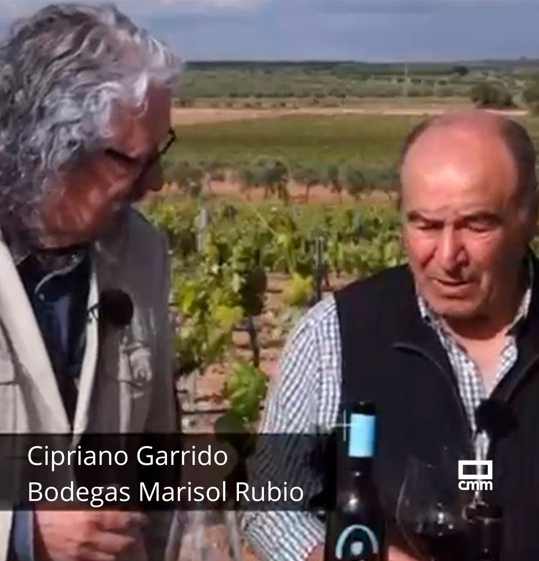 Cipriano Garrido, de Bodegas Marisol Rubio, en el viñedo durante la visita del programa Variotinto de Castilla-La Mancha TV